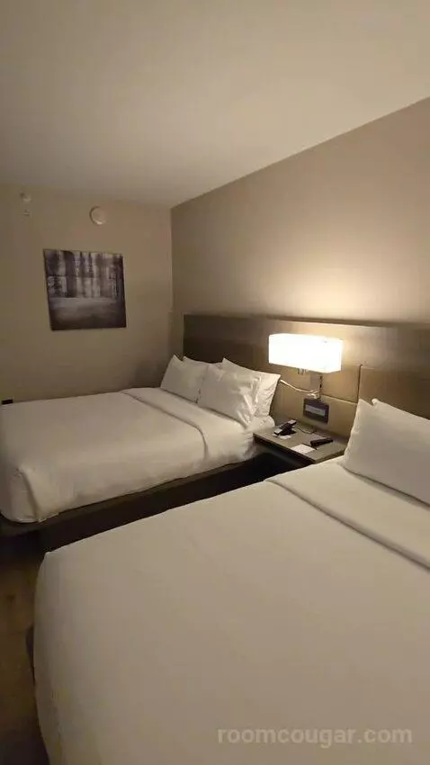 Queen Guest Room with Two Queen Beds (#210) bed picture #9