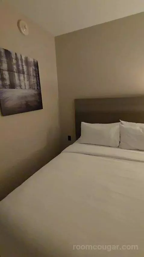 Queen Guest Room with Two Queen Beds (#210) bed picture #10