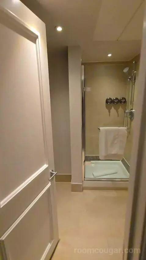 Premium Suite with Balcony and City View (#926) bathroom picture #1