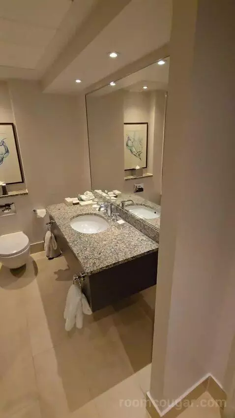 Premium Suite with Balcony and City View (#926) bathroom picture #4