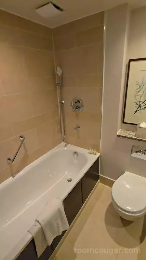 Premium Suite with Balcony and City View (#926) bathroom picture #7
