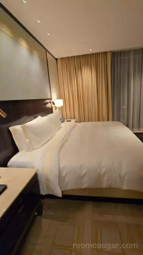 Premier Suite King (#215) bed picture #6