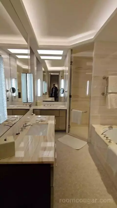 Premier Suite King (#215) bathroom picture #3