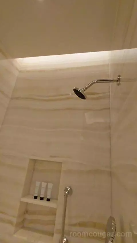 Premier Suite King (#215) bathroom picture #5