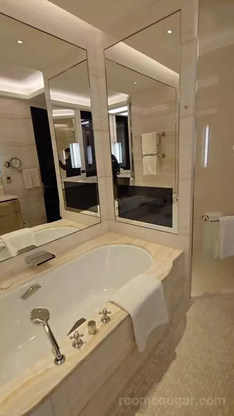 Premier Suite King (#215) bathroom picture #6
