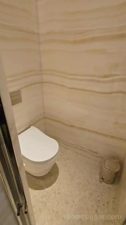 Premier Suite King (#215) bathroom picture #7