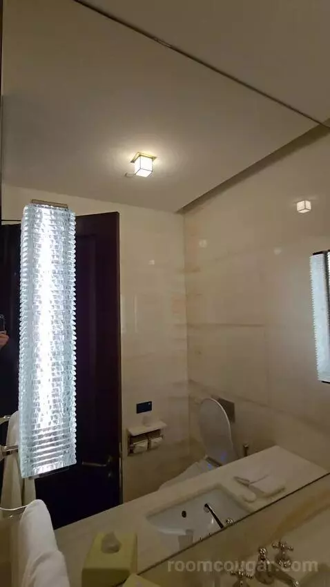 Premier Suite King (#215) bathroom picture #1