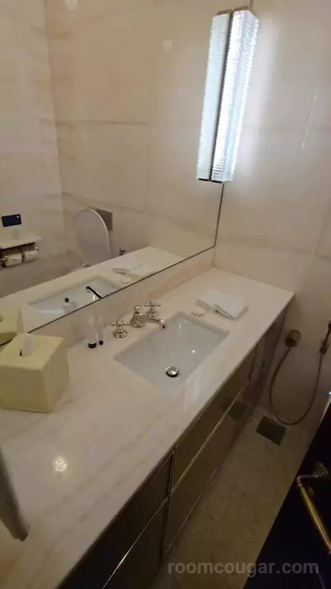 Premier Suite King (#215) bathroom picture #2