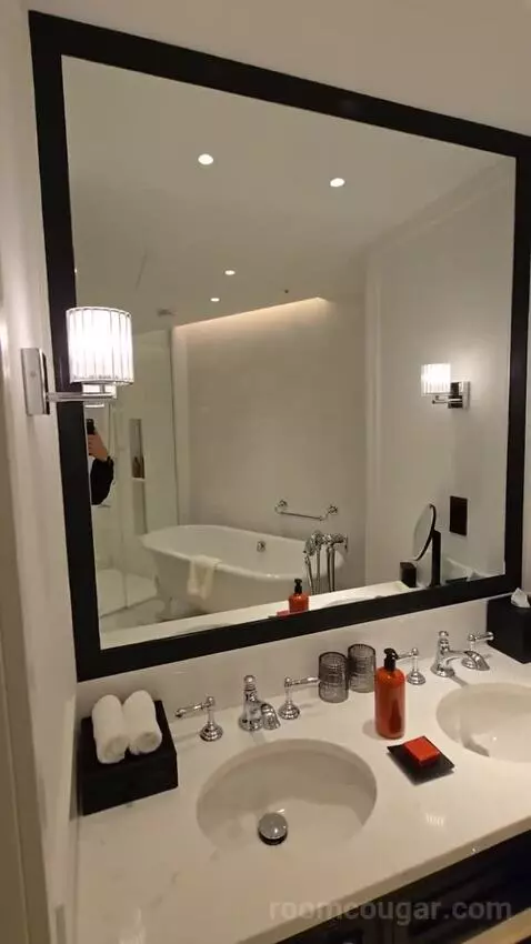 Park Suite with River View (#1810) bathroom picture #3