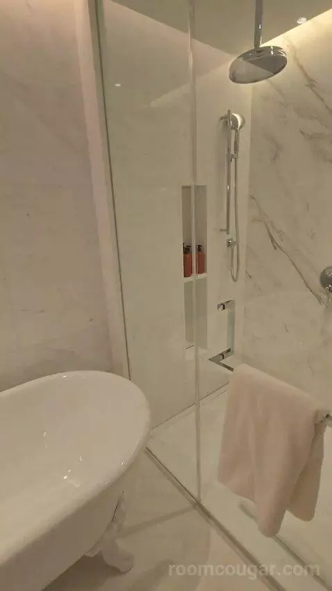 Park Suite with River View (#1810) bathroom picture #5