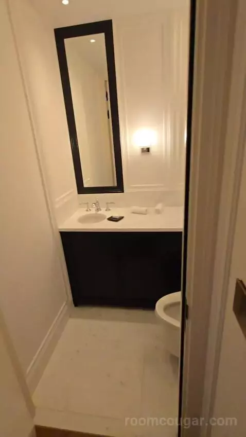 Deluxe Park Suite with River View (#1007) bathroom picture #2