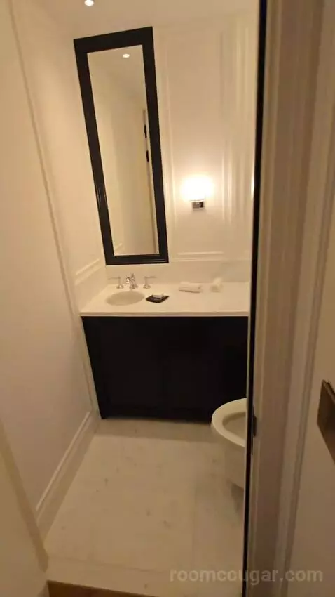 Deluxe Park Suite with River View (#1007) picture #2