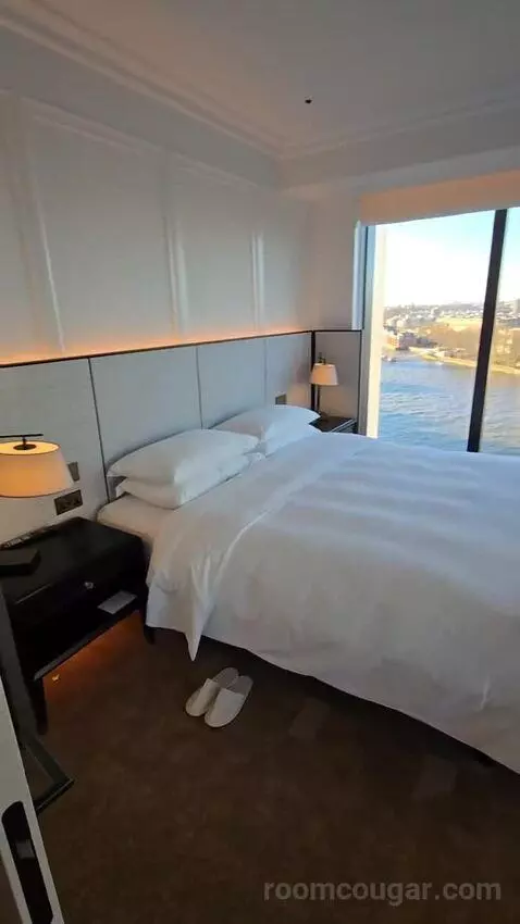 Deluxe Park Suite with River View (#1007) bed picture #1