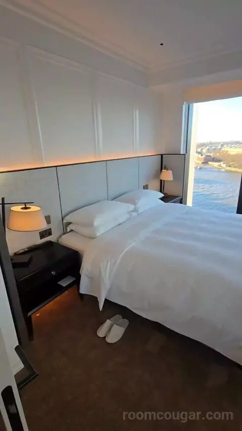 Deluxe Park Suite with River View (#1007) bed picture #2