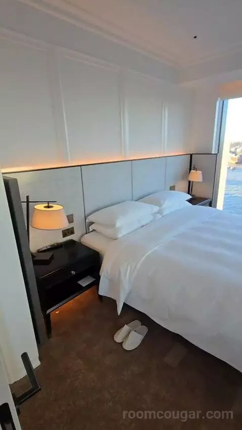 Deluxe Park Suite with River View (#1007) bed picture #4