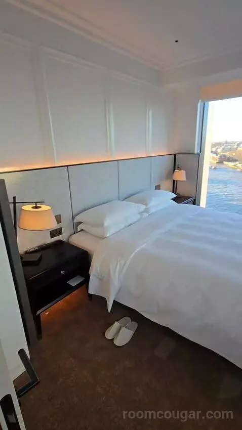 Deluxe Park Suite with River View (#1007) picture #12