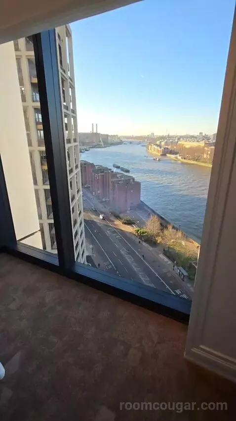 Deluxe Park Suite with River View (#1007) view picture #6