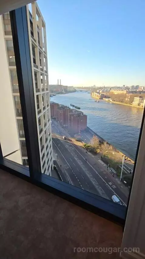 Deluxe Park Suite with River View (#1007) view picture #8