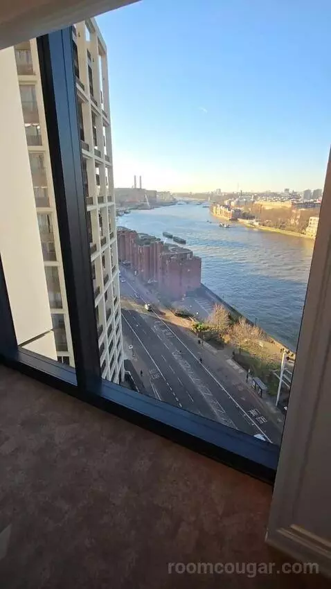 Deluxe Park Suite with River View (#1007) picture #13