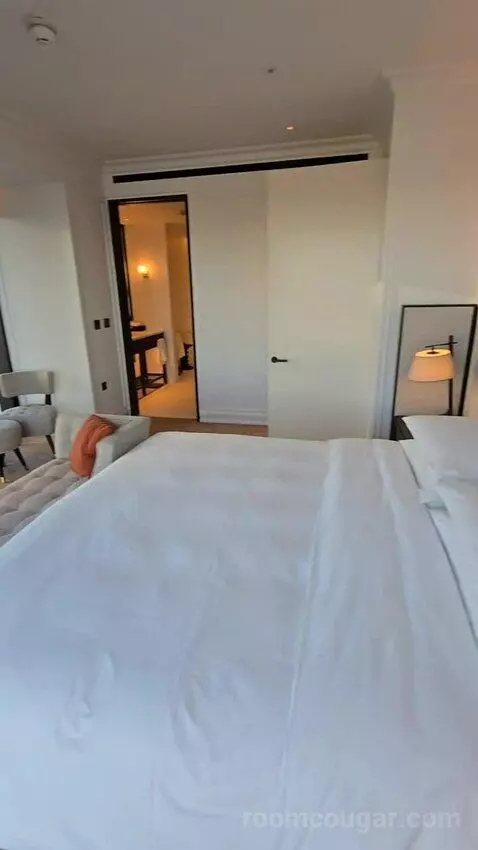 Deluxe Park Suite with River View (#1007) bed picture #7