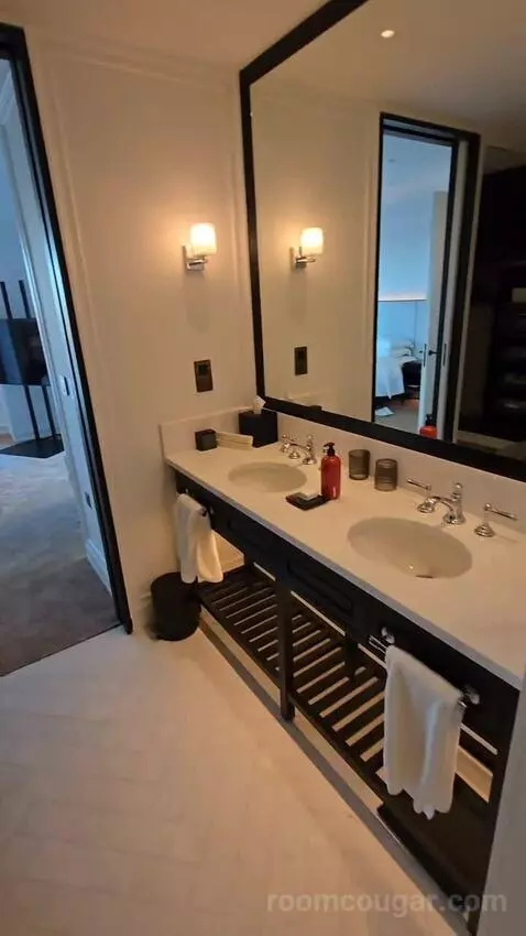 Deluxe Park Suite with River View (#1007) bathroom picture #5