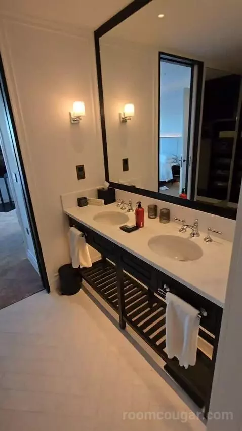 Deluxe Park Suite with River View (#1007) bathroom picture #6