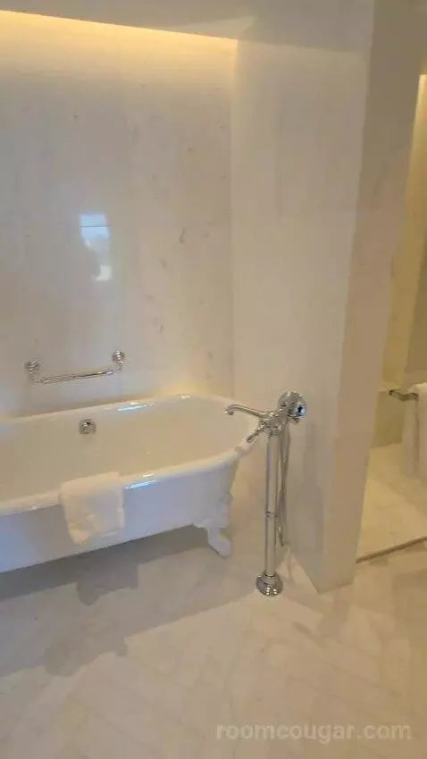 Deluxe Park Suite with River View (#1007) bathroom picture #8