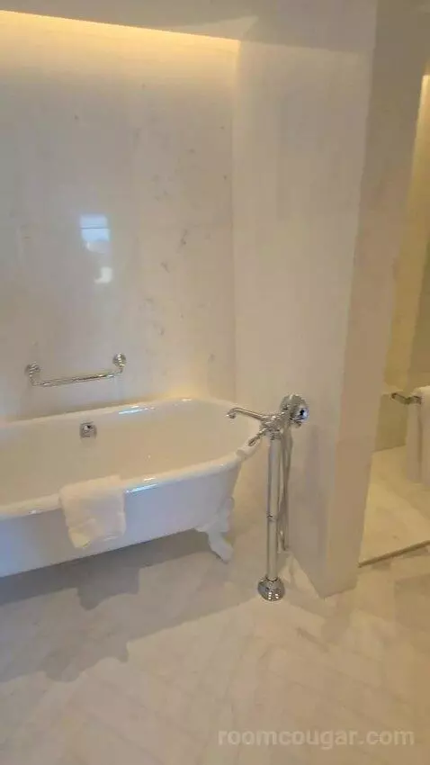 Deluxe Park Suite with River View (#1007) picture #19