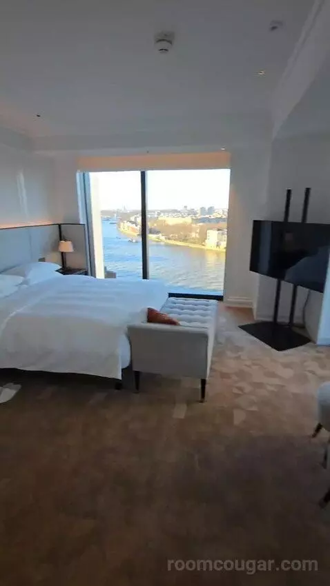 Deluxe Park Suite with River View (#1007) bed picture #9