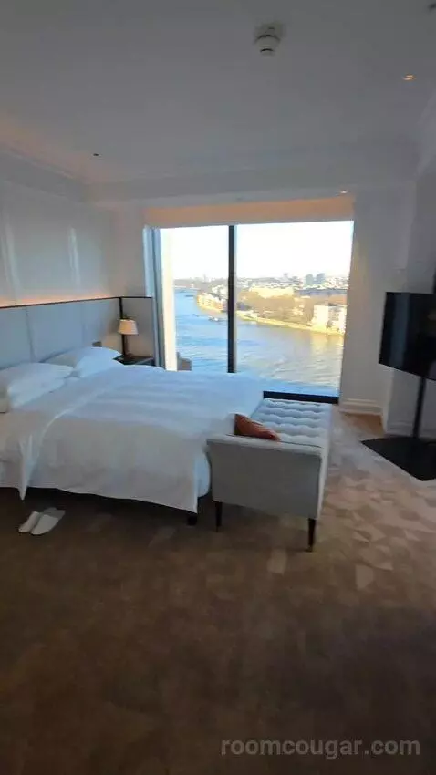 Deluxe Park Suite with River View (#1007) bed picture #10