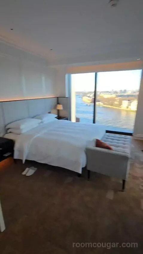 Deluxe Park Suite with River View (#1007) bed picture #11