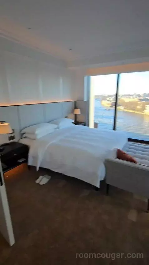 Deluxe Park Suite with River View (#1007) bed picture #12