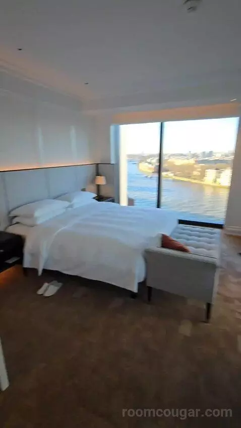Deluxe Park Suite with River View (#1007) picture #23