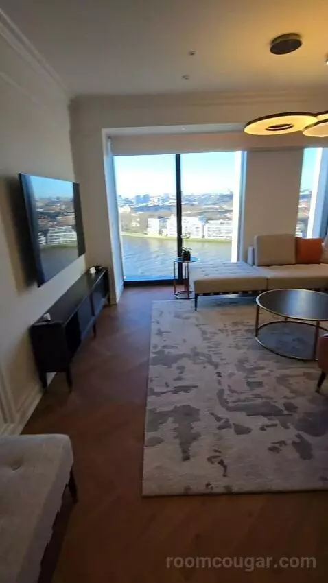 Deluxe Park Suite with River View (#1007) picture #5