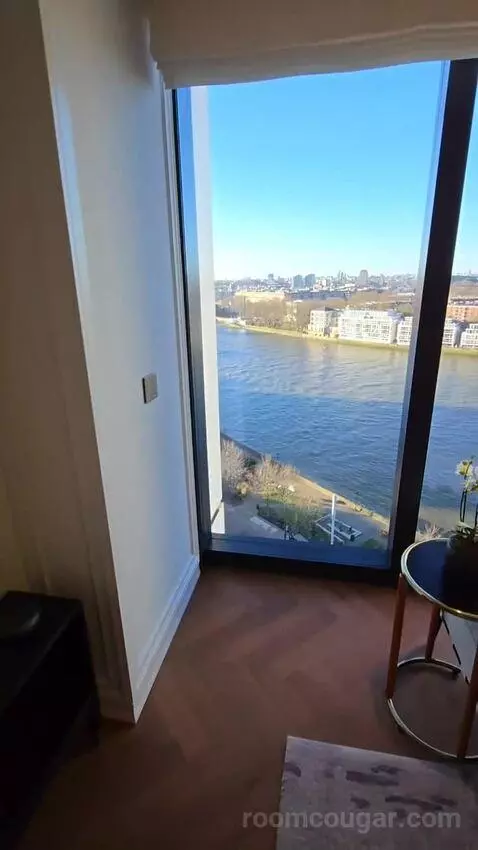 Deluxe Park Suite with River View (#1007) view picture #1