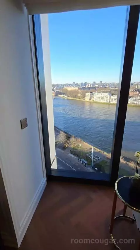 Deluxe Park Suite with River View (#1007) view picture #3