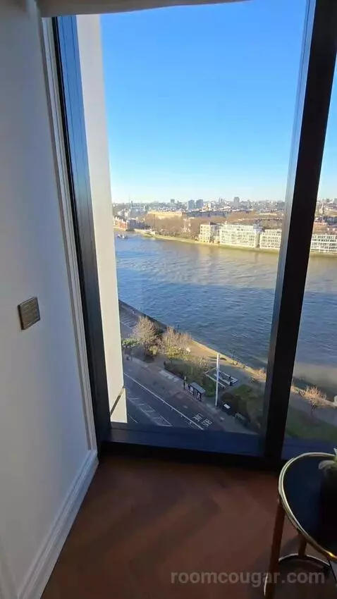 Deluxe Park Suite with River View (#1007) view picture #4