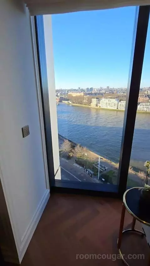 Deluxe Park Suite with River View (#1007) picture #6