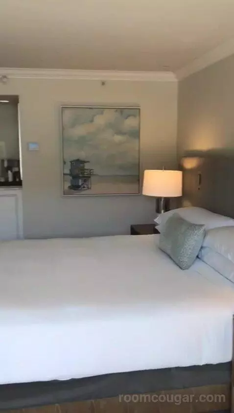 Coastal King (#209) bed picture #7