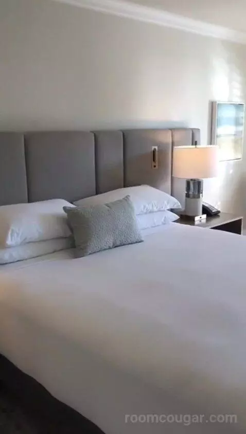 Coastal King (#209) bed picture #1