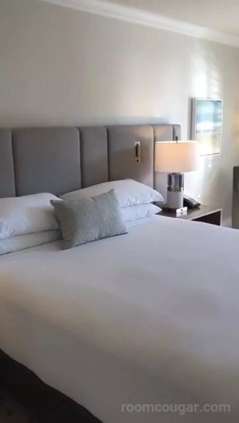 Coastal King (#209) bed picture #2