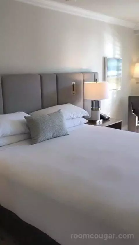 Coastal King (#209) bed picture #3