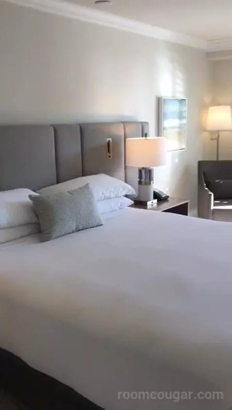 Coastal King (#209) bed picture #4