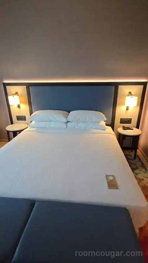Deluxe Guest Room, 1 King (#617) bed picture #2