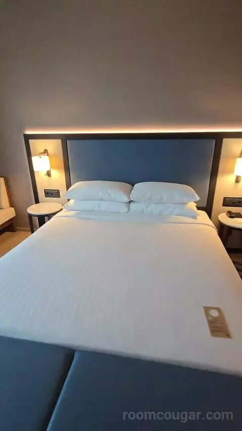 Deluxe Guest Room, 1 King (#617) bed picture #4