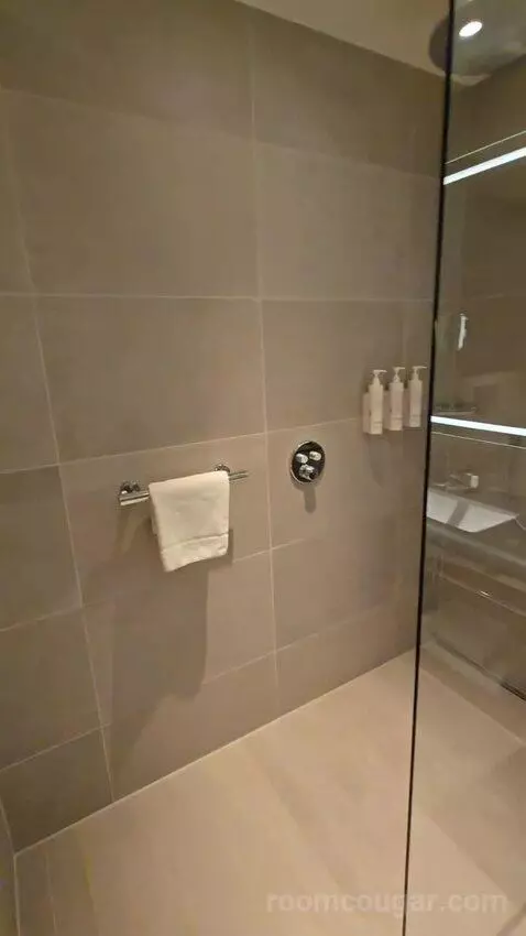 Deluxe Guest Room, 1 King (#617) bathroom picture #1