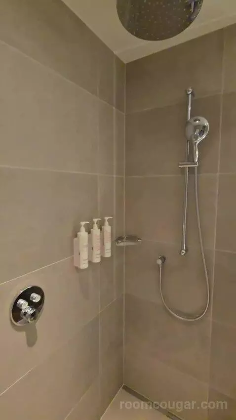 Deluxe Guest Room, 1 King (#617) bathroom picture #2