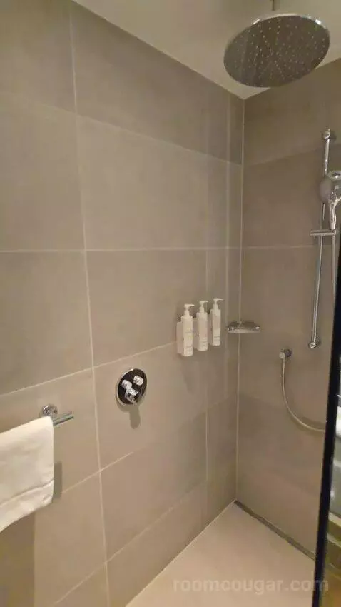 Deluxe Guest Room, 1 King (#617) bathroom picture #3