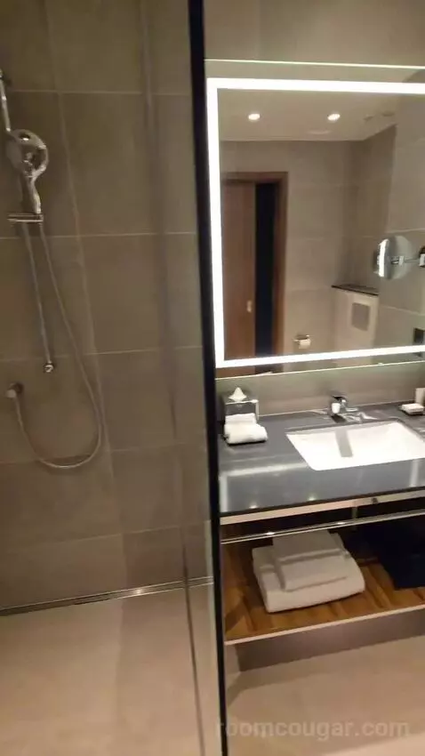 Deluxe Guest Room, 1 King (#617) bathroom picture #4