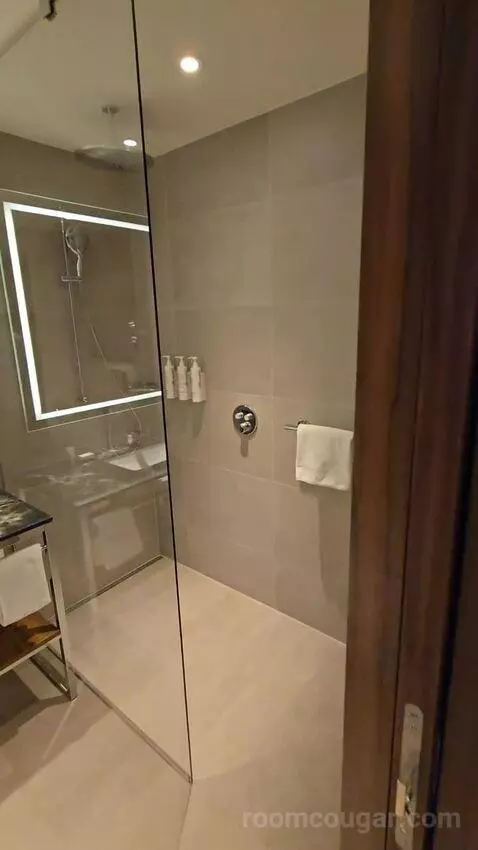 Deluxe Guest Room, 2 Twin (#605) bathroom picture #2